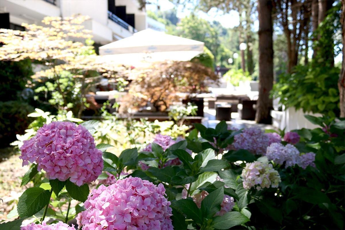 Hotel Pela オフリド エクステリア 写真